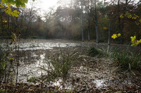 Wahnheide