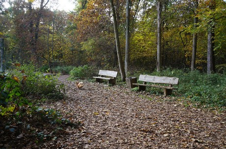 Wahnheide