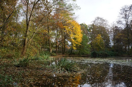 Wahnheide