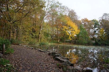 Wahnheide