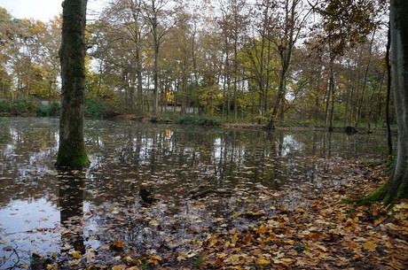 Wahnheide