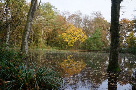 Wahnheide