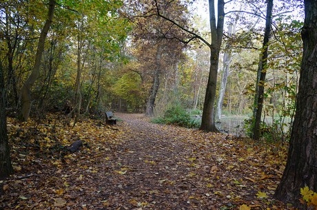 Wahnheide