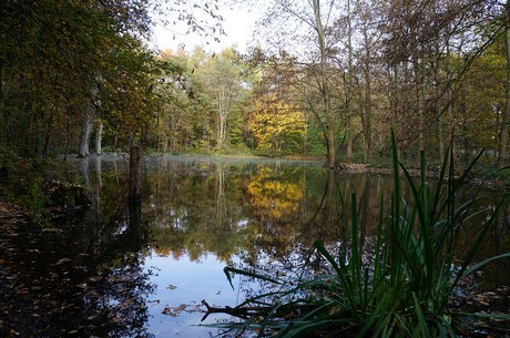 Wahnheide