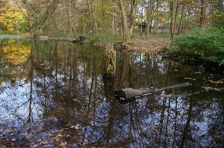 Wahnheide