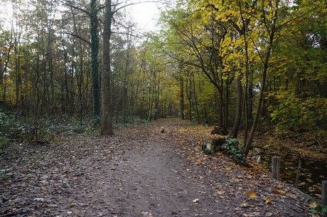 Wahnheide