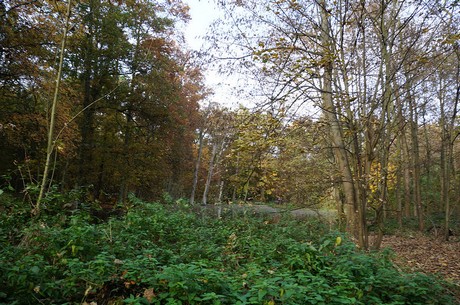 Wahnheide