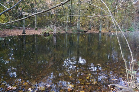 Wahnheide