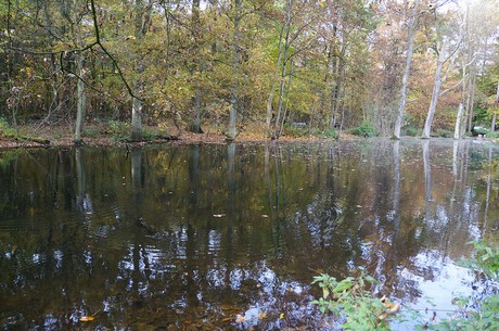 Wahnheide