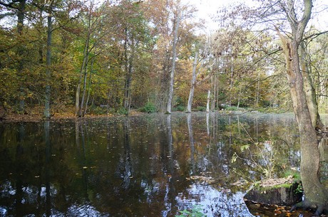 Wahnheide