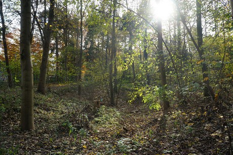 Wahnheide
