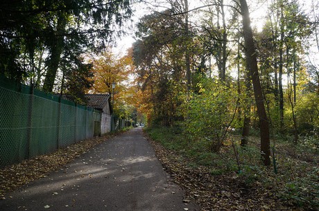 Wahnheide