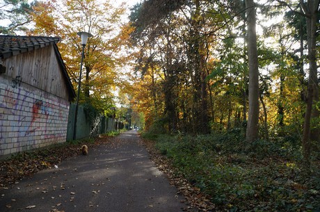 Wahnheide