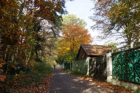 Wahnheide