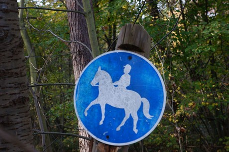 Wahnheide
