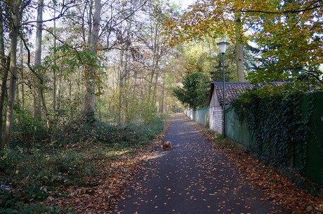 Wahnheide