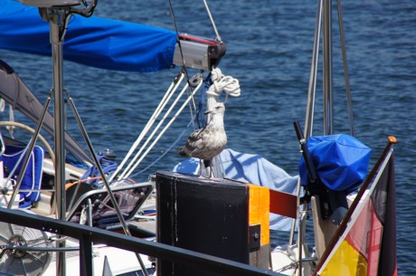 warnemuende