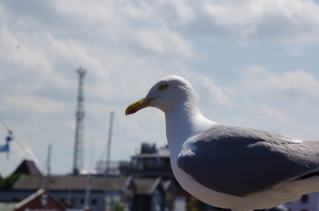 warnemuende