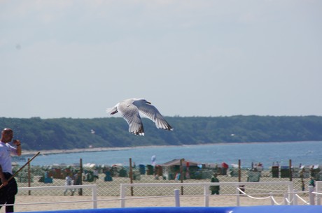 warnemuende