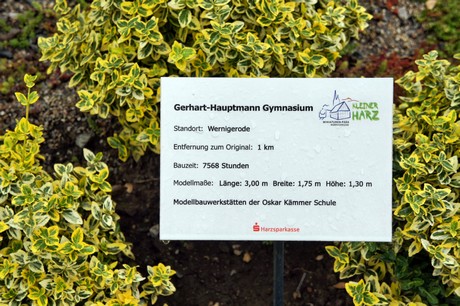 miniharz