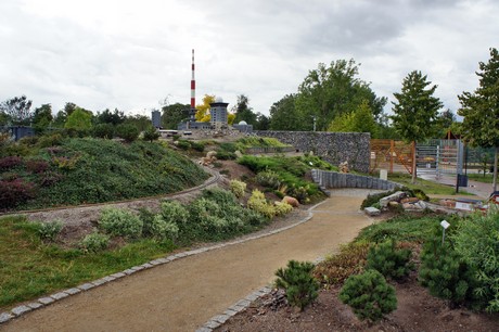 miniharz