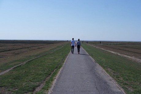 Westerhever