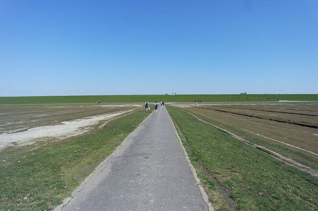 Westerhever