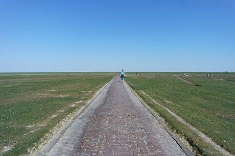 Westerhever