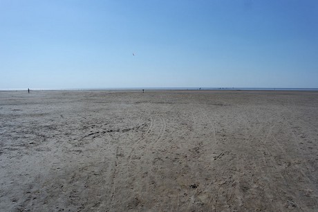 Westerhever