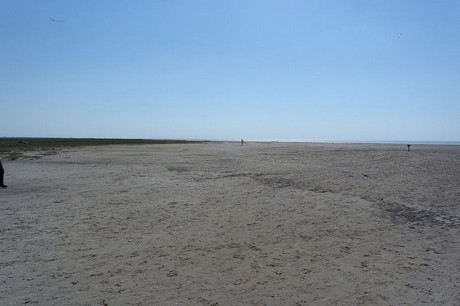Westerhever