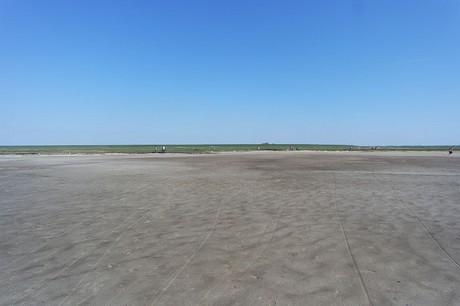 Westerhever