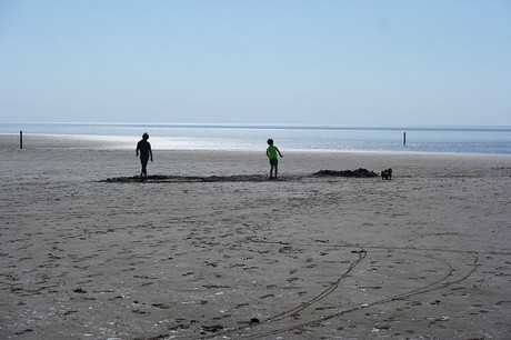 Westerhever