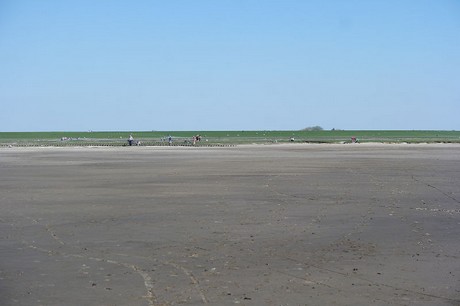 Westerhever