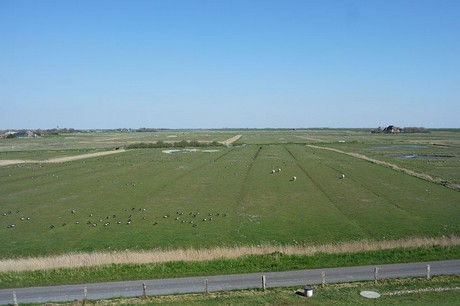 Westerhever