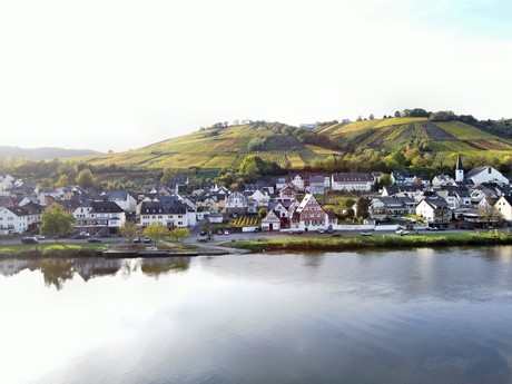 Zell