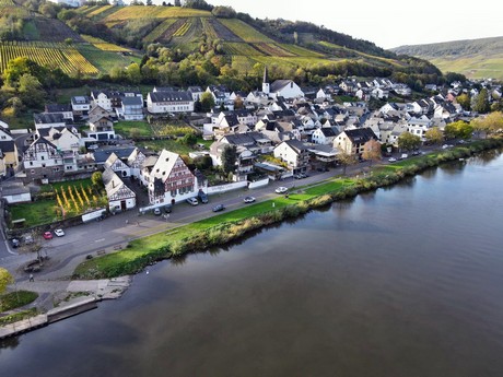 Zell