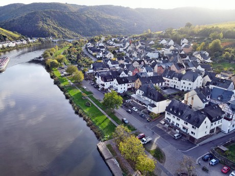 Zell
