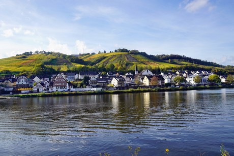Zell