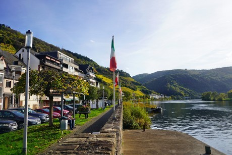 Zell