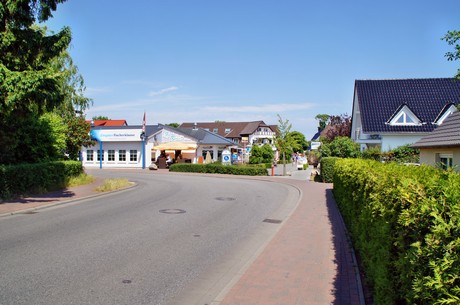 zingst