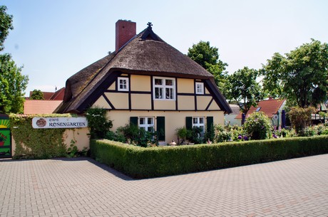 zingst