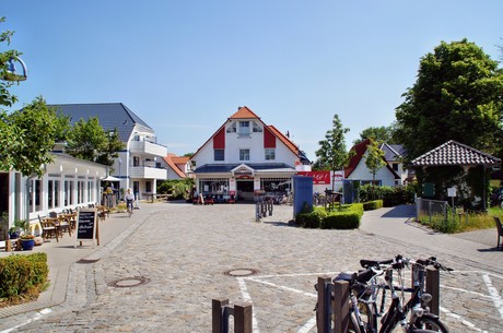 zingst