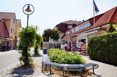 zingst