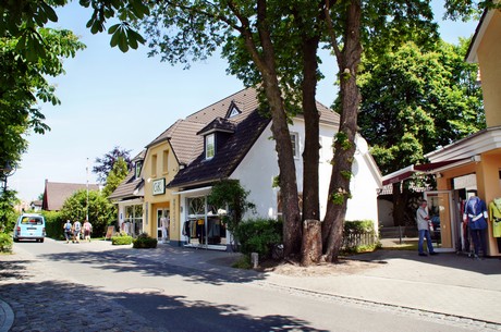 zingst