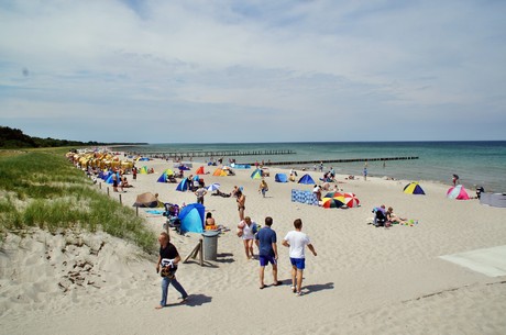 zingst