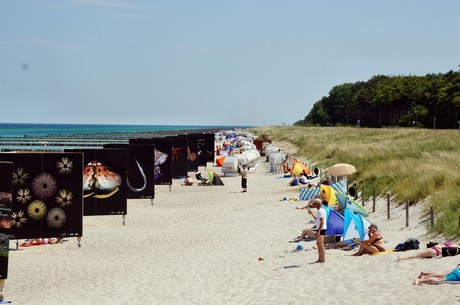 zingst