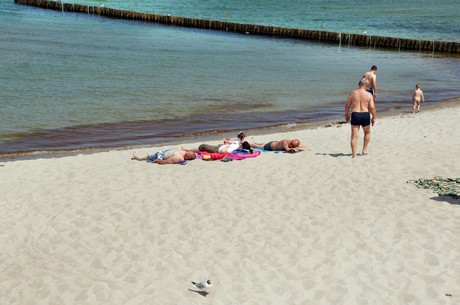 zingst