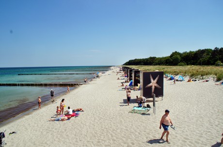 zingst