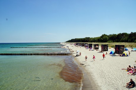 zingst