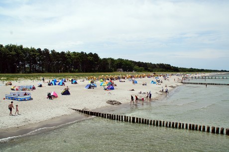 zingst